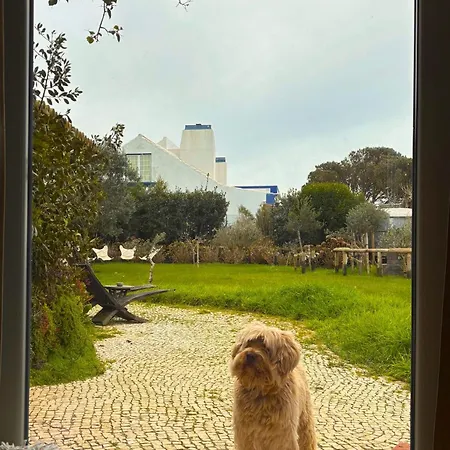 Guest house Chicken Raiser Unique Ocean View With Hot Tub