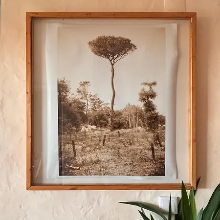 Chicken Raiser Unique Ocean View With Hot Tub Azoia (Sintra)